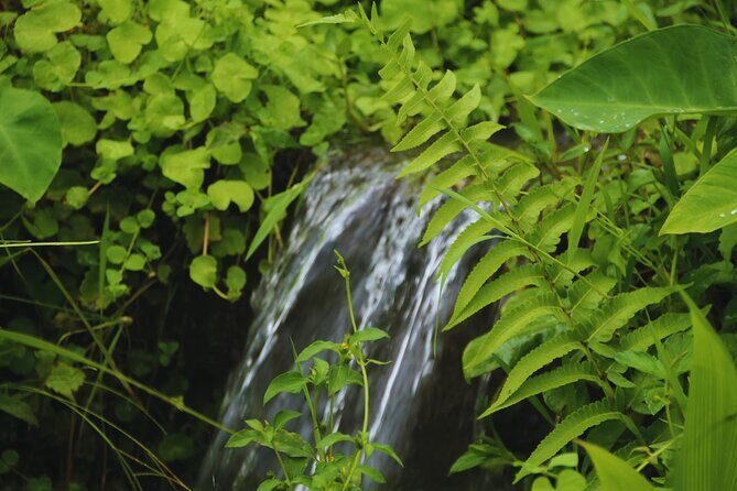 Bali Spiritual: Blessing Ceremony, Pristine Nature and Transfer - Introduction to the Tour Experience