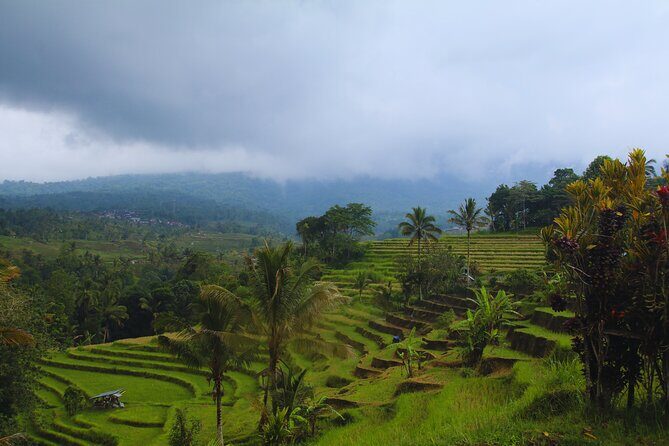 Bali Spiritual: Blessing Ceremony, Pristine Nature and Transfer - Final Thoughts