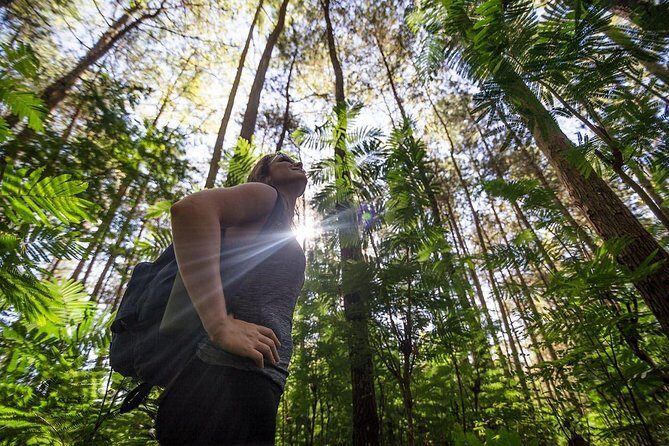 Bali: Sunrise Mount Batur Hike with Breakfast - The Sum Up: Who Is This Tour Best For?