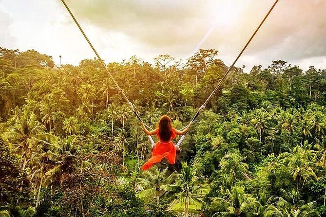 Bali Swing Experience and Ubud Tour - An In-Depth Look at the Bali Swing Experience and Ubud Tour