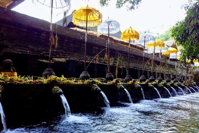 Bali Swing Ubud Private Day Tour - Final Thoughts