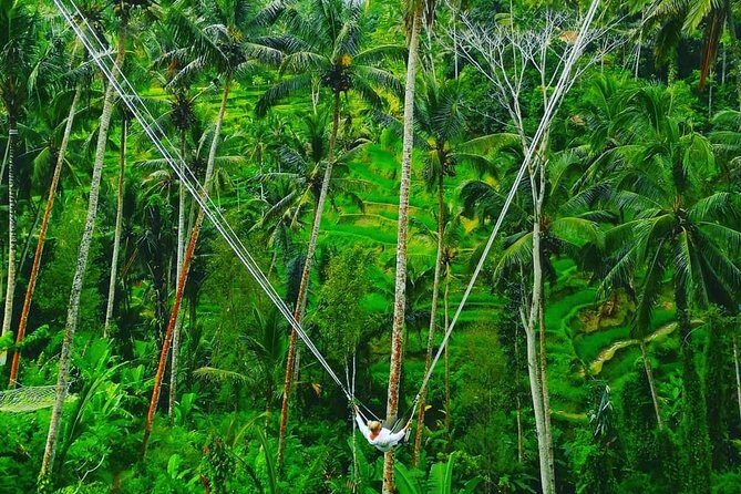 Bali swing, Waterfall, Tanah lot Tour - The Itinerary: A Deep Dive into Each Stop