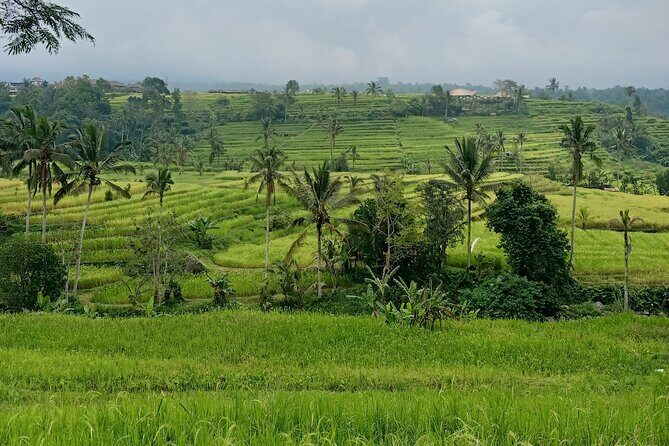 Bali Tanah Lot, Ulun Danu Beratan & Jatiluwih Rice Terrace - The Itinerary in Detail: What You Can Expect