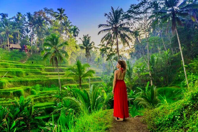 Bali Top Attractions Tour  All-Inclusive Private Experience - The Value of This Tour