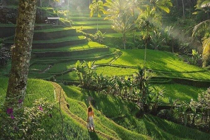 Bali Top Attractions Tour  All-Inclusive Private Experience - The Sum Up