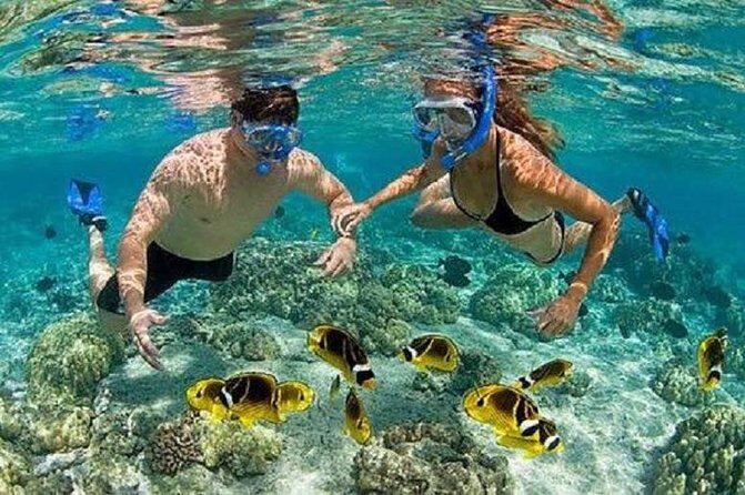 Bali Tour Customized with Private Tour Driver - Who Should Consider This Tour?