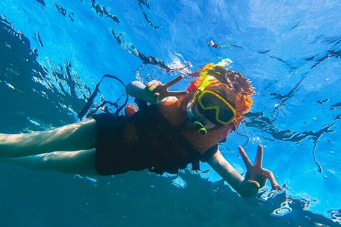 Bali Tropical Snorkeling and Mangrove Cruise - An In-Depth Look at the Tour Experience
