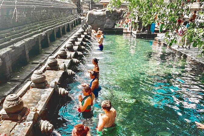 Bali: Ubud Highlights Tour with Private Guide and Transfers - A Deep Dive into the Ubud Highlights Tour
