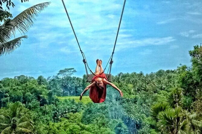 Bali Ubud Jungle Swing: Monkey Forest and Waterfall Private Tour - Key Points