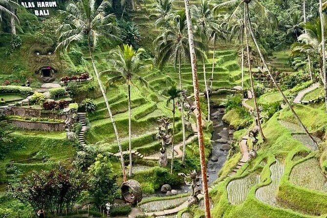 Bali Ubud Private Costomized Tour - Explore Bali your way - Frequently Asked Questions