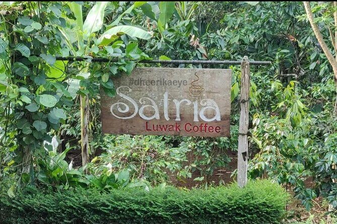 Bali Ubud private Tour with Ubud Bali Driver - FREE WIFI - FAQs