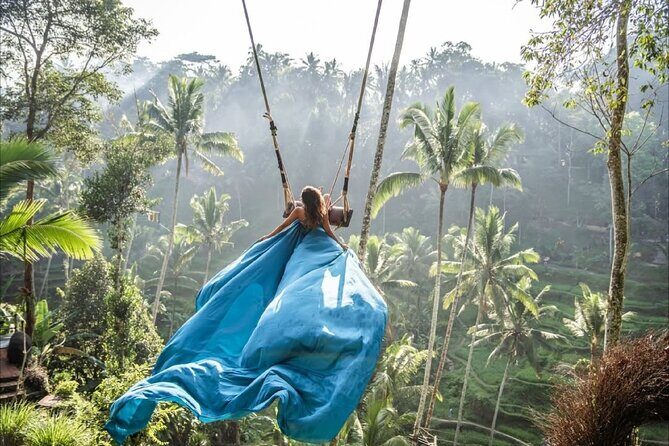 Bali Ubud Zipline Jungle Swing and Waterfall Tour - An In-Depth Look at the Ubud Zipline Jungle Swing and Waterfall Tour