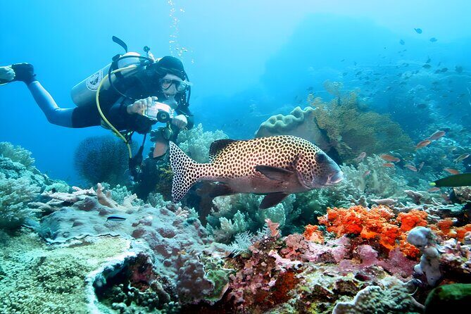 Bali Water Sport Jumbo Packages - Who Will Enjoy This Tour?