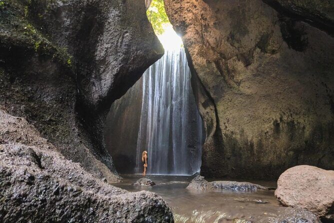 Bali: Waterfall Tour and Ubud Monkey Forest Private Day Trip - Who Should Consider This Tour?