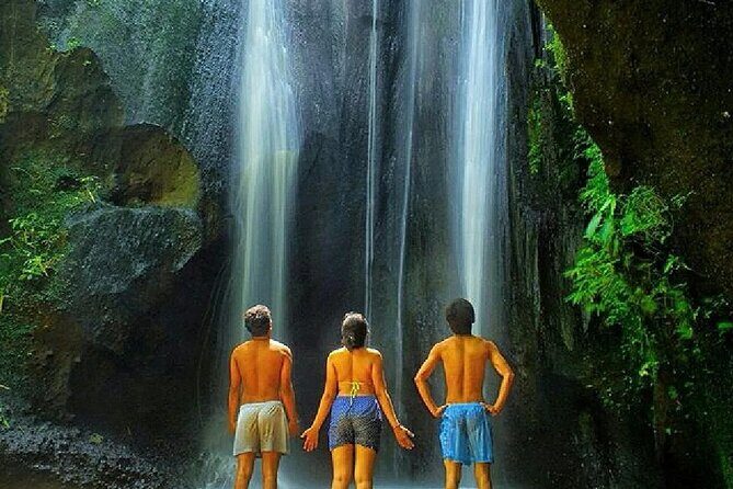 Bali: Waterfall Tour and Ubud Monkey Forest Private Day Trip - FAQs