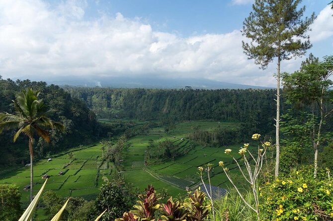 Bali Waterfalls and Temples Tour - FAQs