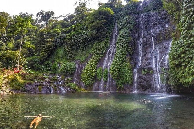 Bali Waterfalls Tour - One Day Private Tour - What To Expect From This Bali Waterfalls Tour