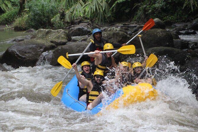 Bali White Water Rafting Adventure at Ayung River Bali - Introduction: What’s the Bali White Water Rafting Experience All About?