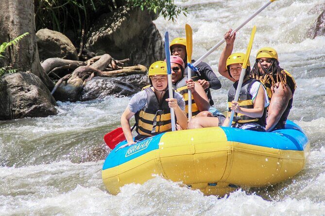 Bali White Water Rafting Adventure at Ayung River Bali - Authentic Perspectives from Travelers