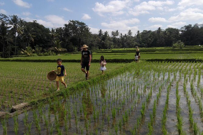 Balinese Cooking Class at Organic Farm - What Could Be Considered?
