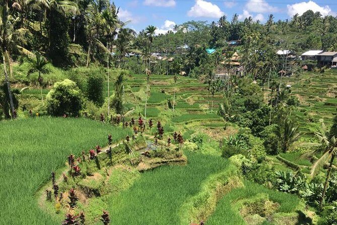 Balinese Life Style Tour - What the Tour Includes and What to Keep in Mind
