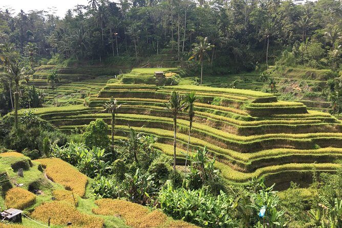 Balinese Life Style Tour - Final Thoughts: Who Will Love This Tour?