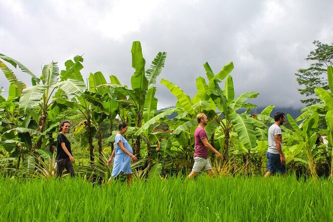 Balinese Vegan Cooking Class with Fresh Harvesting & Garden Tour - An In-Depth Look at the Experience