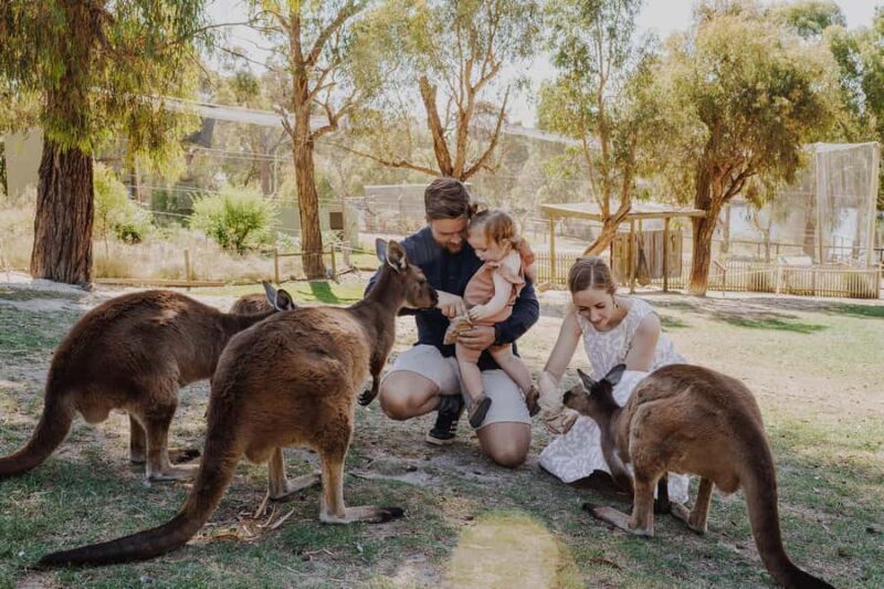 Ballarat: Wildlife Park Entry Ticket - Introduction