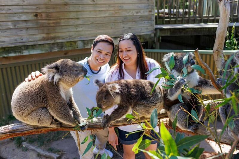 Ballarat: Wildlife Park Entry Ticket - Key Points