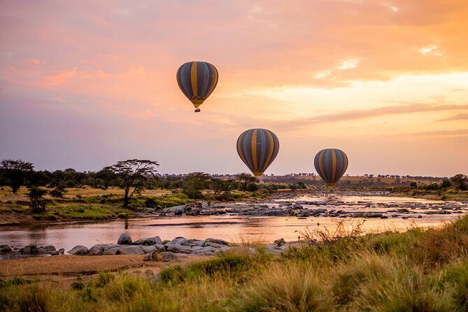 Balloon Safari & Bush Breakfast in Serengeti - Miracle Experience - Overall Value and Who It’s Best For