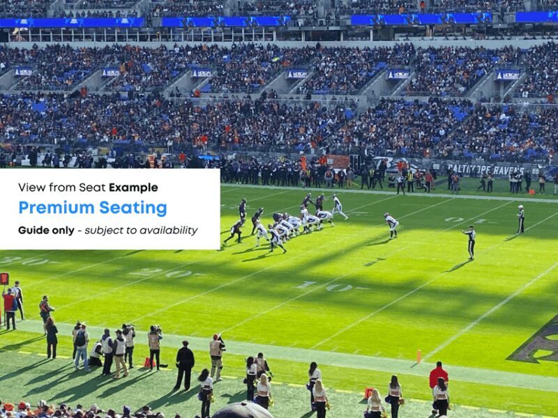 Baltimore: Ravens Football Game Ticket at M&T Bank Stadium - Who Should Consider This?