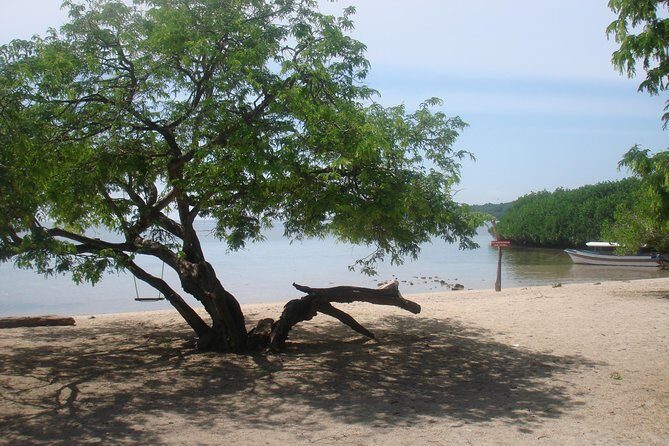 Baluran Trip - What to Expect from the Baluran Trip