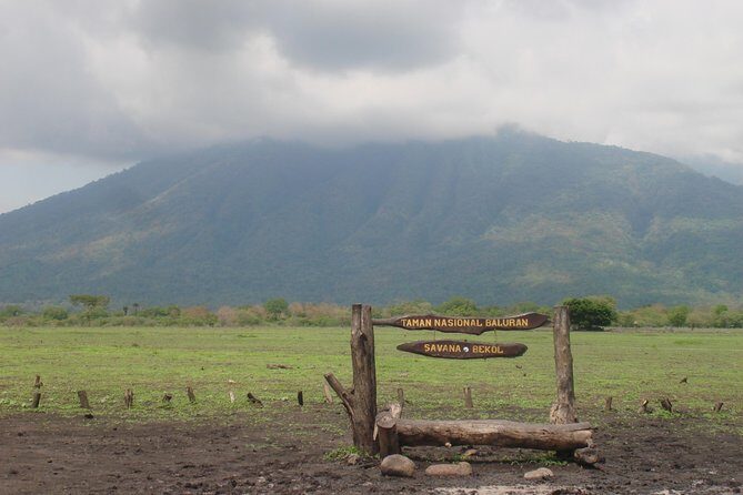 Baluran Trip - Authentic Experiences and Authenticity