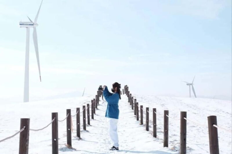 Balwangsan Cable Car & Samyang Ranch One Day Tour - The Sum Up: A Great Choice for Scenic Simplicity