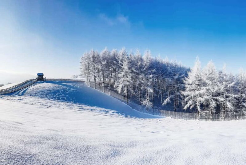 Balwangsan Cable Car & Samyang Ranch One Day Tour - FAQs