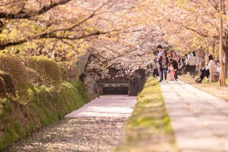Bamboo Artistry & Zen Serenity: Tranquility with Ginkaku-ji - Final Thoughts: Is It Worth It?