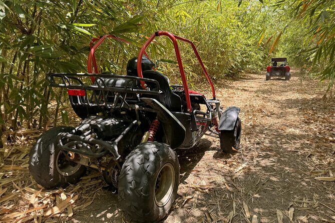 Bamboo Dune Buggy Tour - The Itinerary in Detail