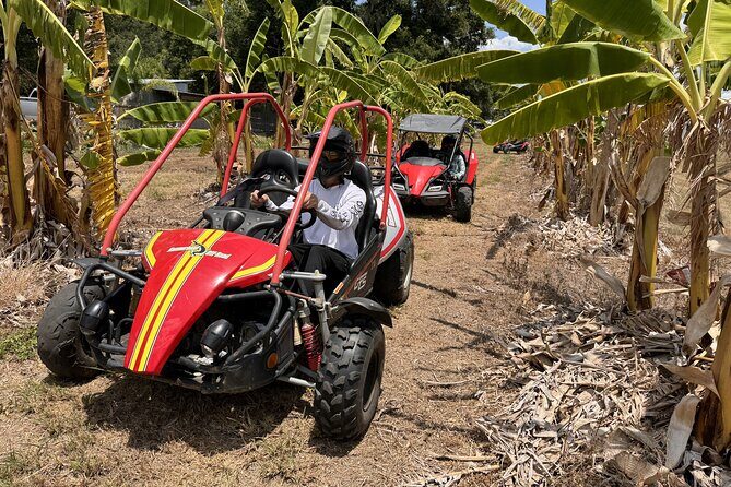Bamboo Dune Buggy Tour - Who Should Consider This Tour?
