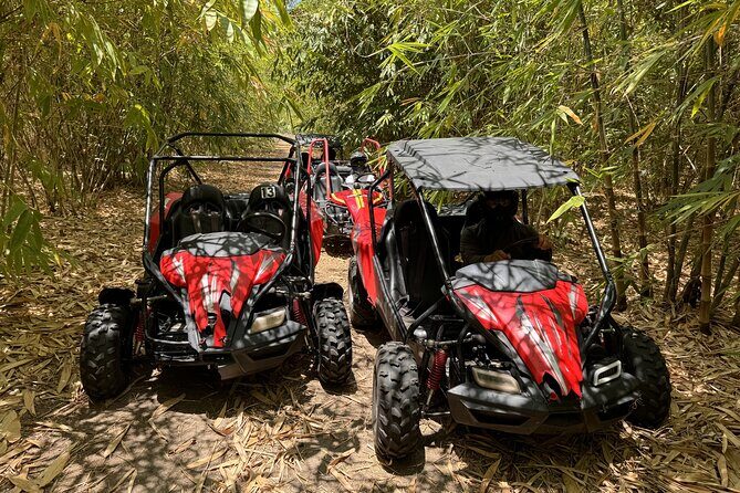 Bamboo Dune Buggy Tour - The Sum Up