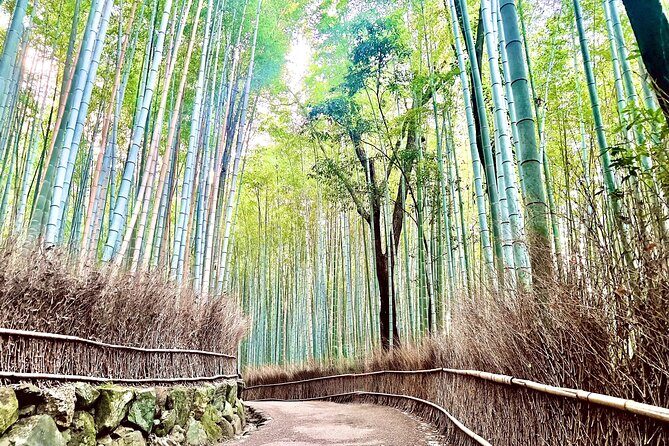Bamboo Grove Temple and Garden Views Tour - Key Points