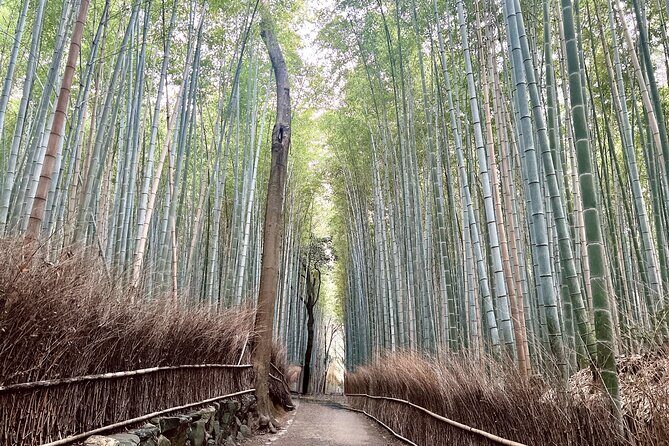 Bamboo Grove Temple and Garden Views Tour - Who Will Love This Tour