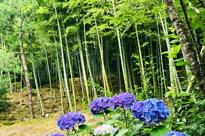 Bamboo LED Lantern Making Experience in Kyoto Arashiyama - FAQ