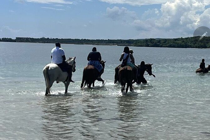 Bamboo Rafting and HorseBack Riding Excursion in OchoRios Jamaica - An In-Depth Look at the Tour