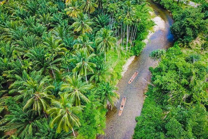 Bamboo Rafting and Sea Turtle Conservation Center Half Day Tour From Khao Lak - What to Expect: A Step-by-Step Look at the Tour