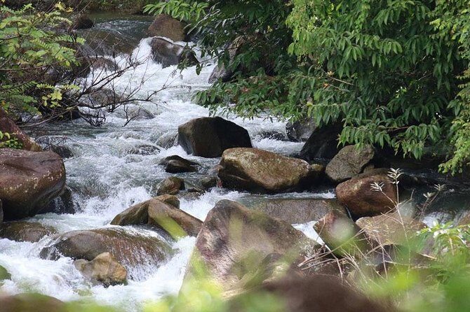 Bamboo Rafting, ATV Riding and Zip Line Tour From Phuket - What Reviews Tell Us