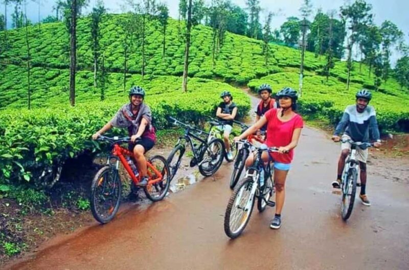 Bamboo Village & Cycling Tour in Wayanad - Exploring Wayanad: Bamboo Village & Cycling Tour in Kerala