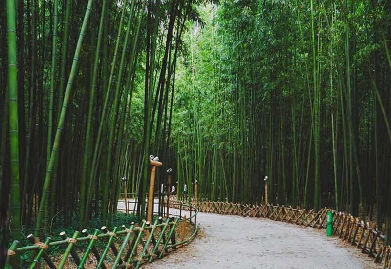 Bamboo Village & Cycling Tour in Wayanad - Who Will Love This Experience?