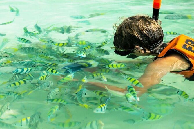 Banana Beach Snorkeling Adventure: A Day in Paradise - Introduction to the Tour