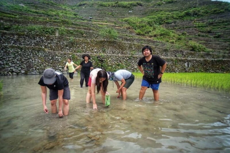 BANAUE:BATAD Rice Terraces with Sagada 4D3N PRIVATE TOUR - Who Should Consider This Tour?