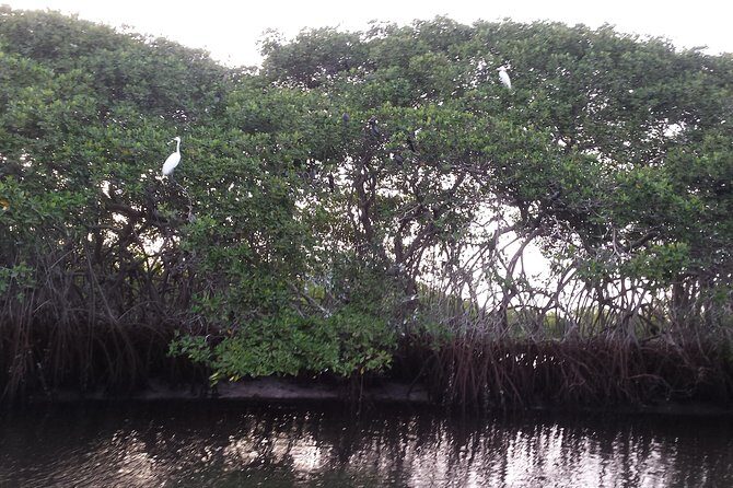 Bandia with lagoon of somone. Minimum 2 people for reservation - The Sum Up: Who Will Love This Tour?